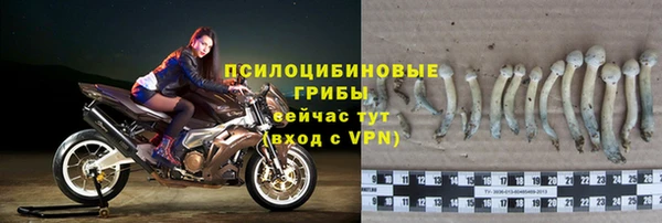гашик Алексеевка