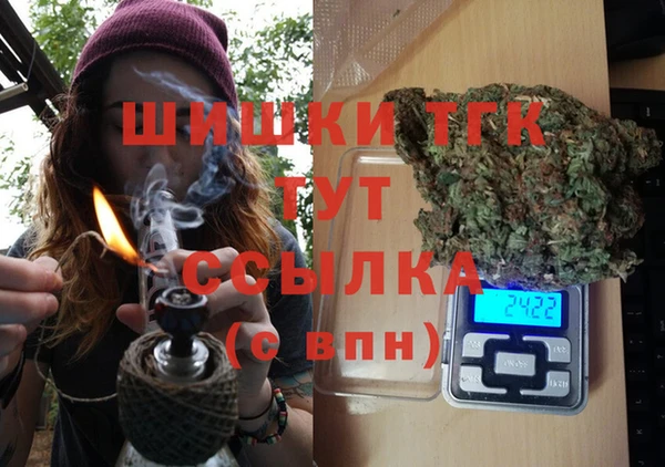 PSILOCYBIN Алзамай
