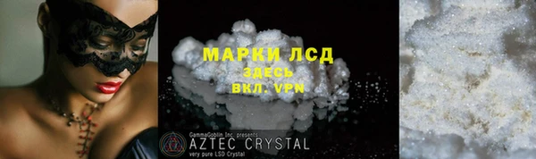 PSILOCYBIN Алзамай