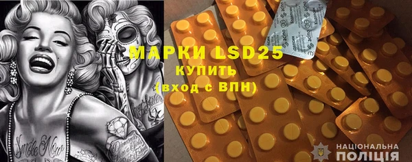 PSILOCYBIN Алзамай