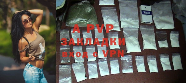 стафф Михайловка