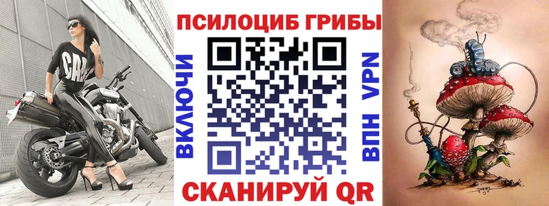 Псилоцибиновые грибы GOLDEN TEACHER  Черкесск 